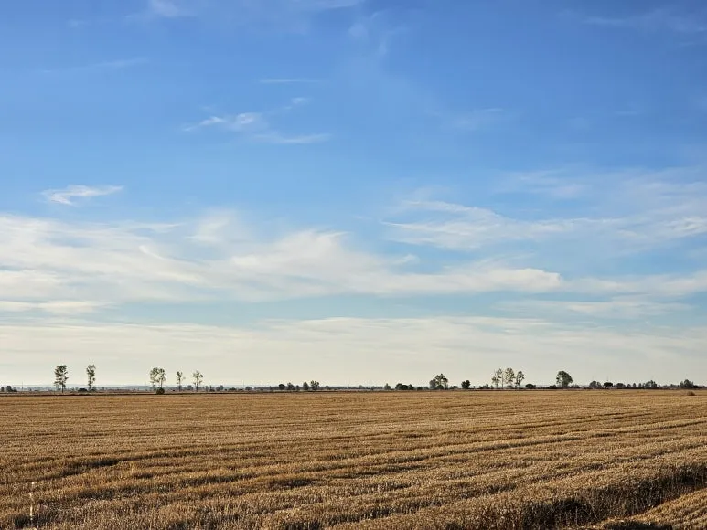 20251004_090530.jpg?type=w773