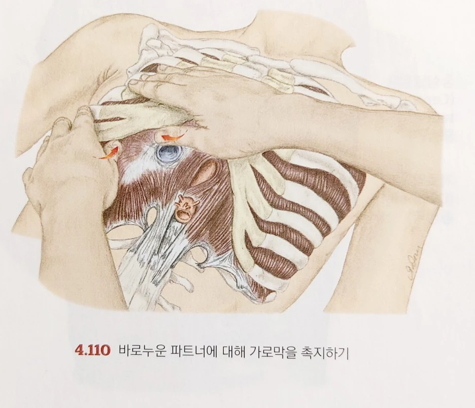 KakaoTalk_20230618_074625893_01.jpg?type=w1