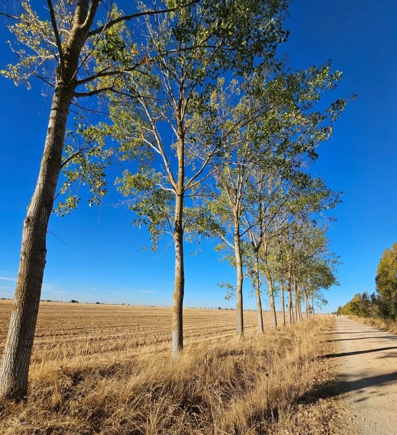 SE-892b1474-26cd-4020-8576-2a0f74f9c788.jpg?type=w773