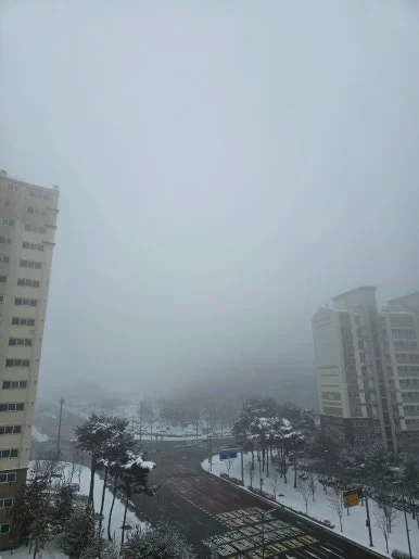 900%EF%BC%BF20250201%EF%BC%BF094742.jpg?type=w386