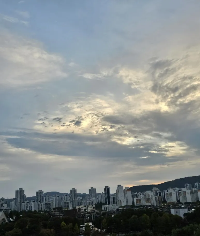 20241027%EF%BC%BF070459.jpg?type=w773