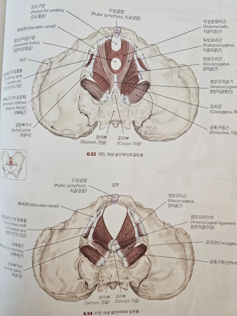 20240211%EF%BC%BF193119.jpg?type=w773