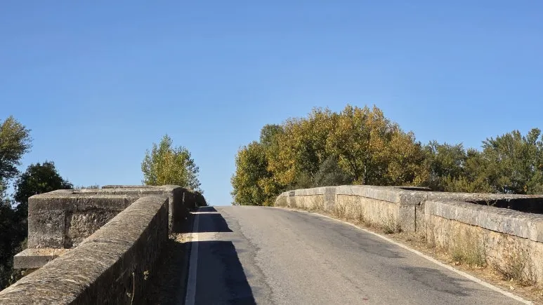 1759463501539.jpg?type=w773