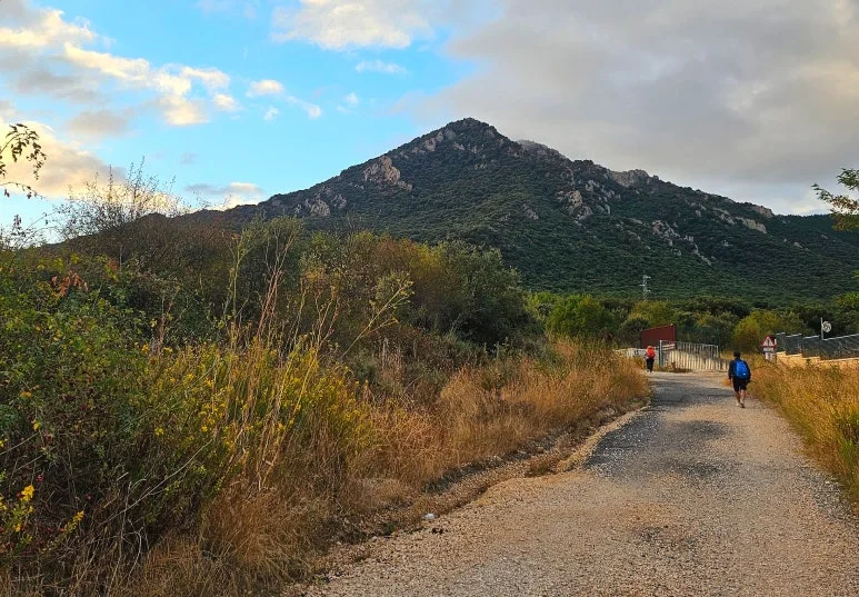 SE-a3ad3a9b-c3b6-47d0-a990-7f4b225c6f42.jpg?type=w773