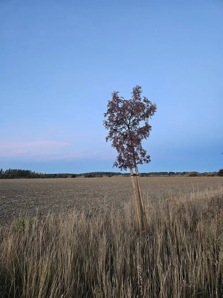 20251004_080826.jpg?type=w773