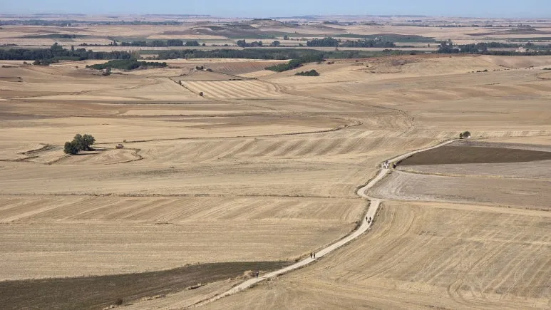 1759463469262.jpg?type=w773