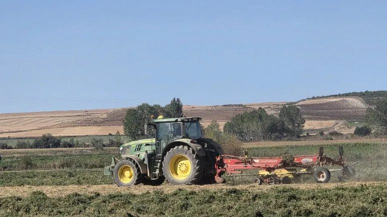 1759463546987.jpg?type=w773