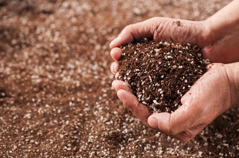 다운로드 (62).jpeg