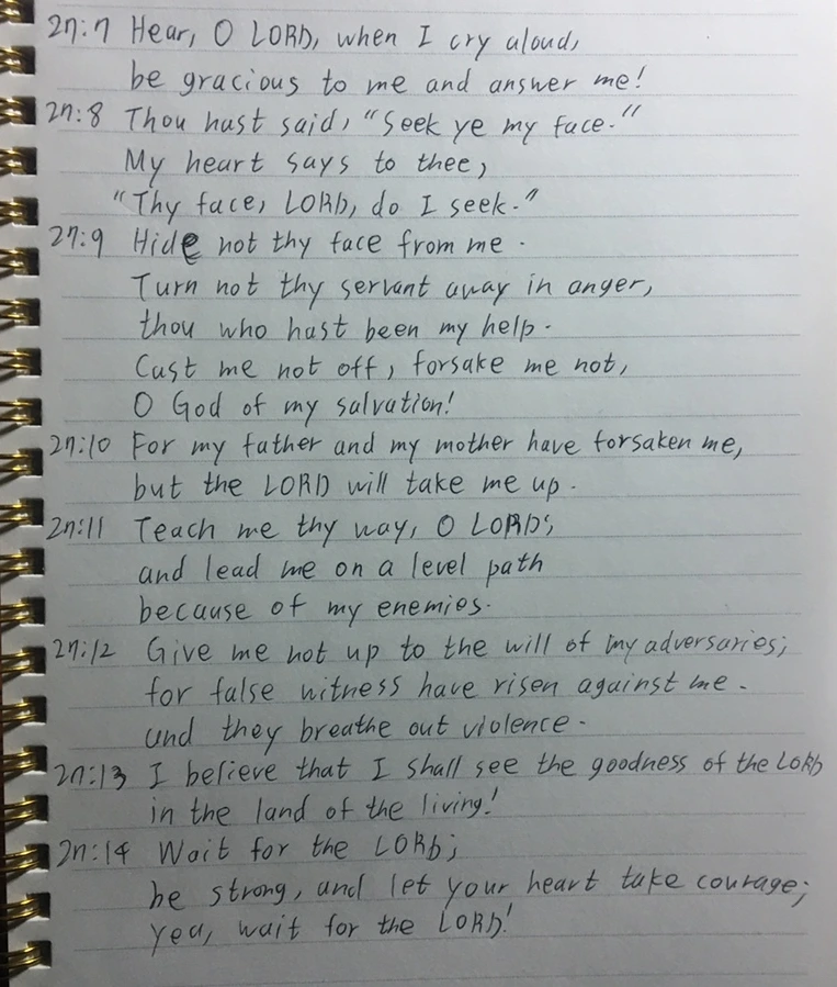 KakaoTalk_20210315_055816987.png?type=w966