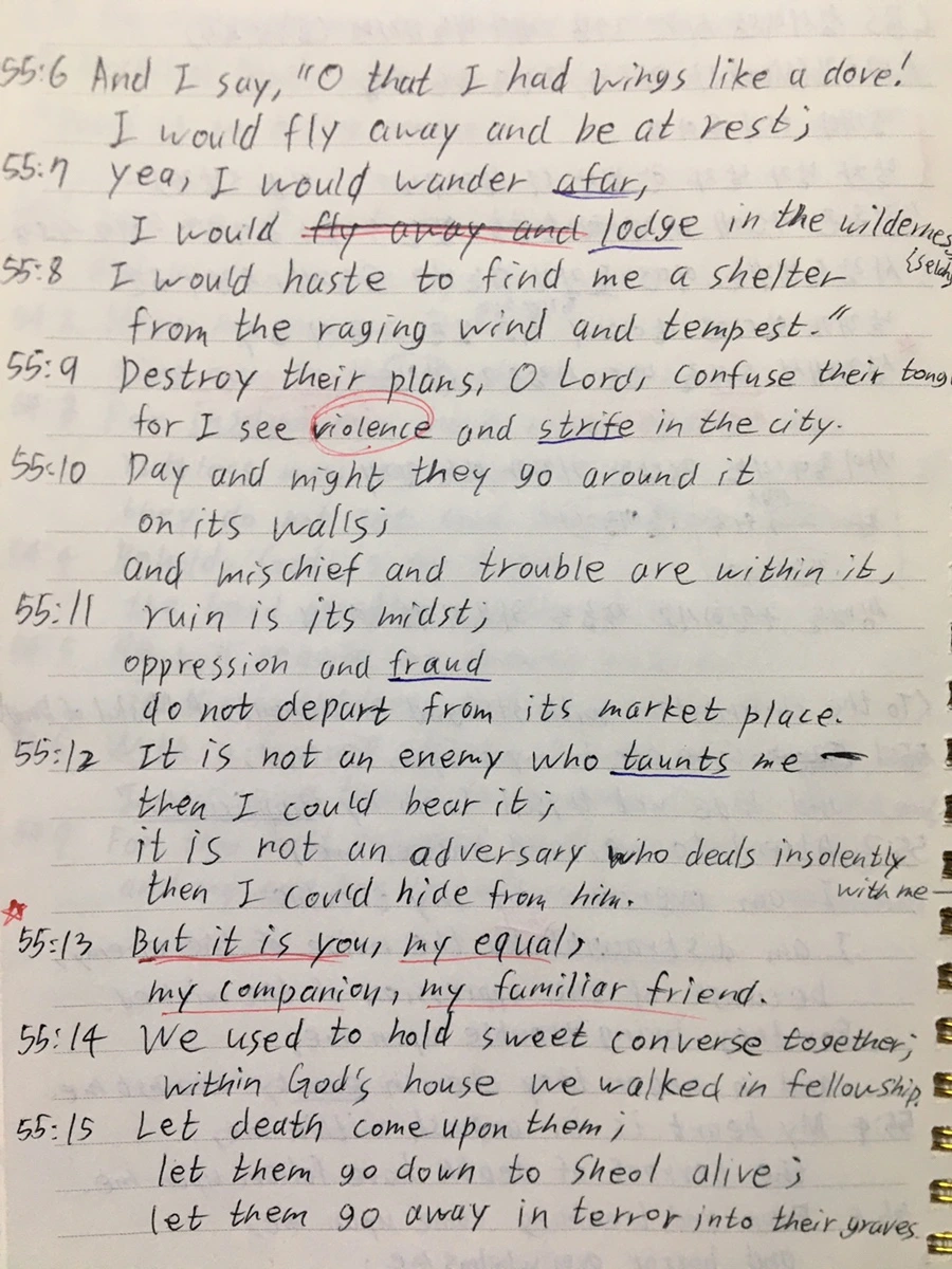 IMG_7320.JPG?type=w966