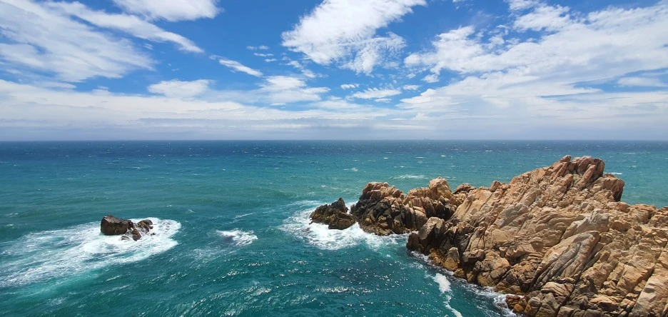 20210704%EF%BC%BF121530.jpg?type=w1