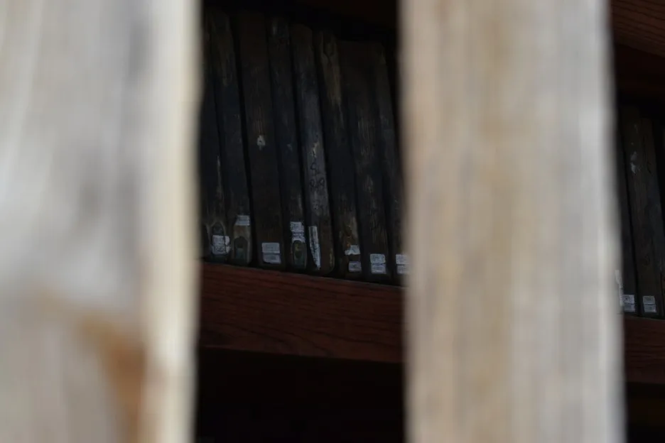 DSC_0774.JPG?type=w1