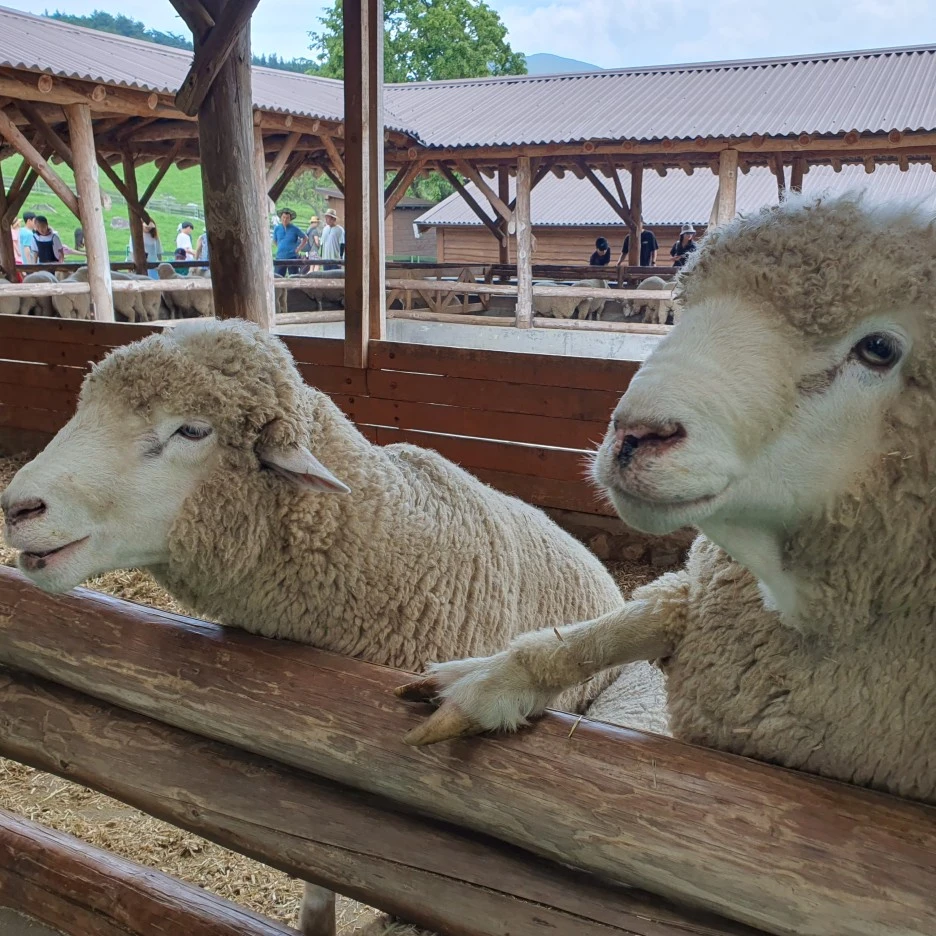 20230801%EF%BC%BF122838.jpg?type=w1