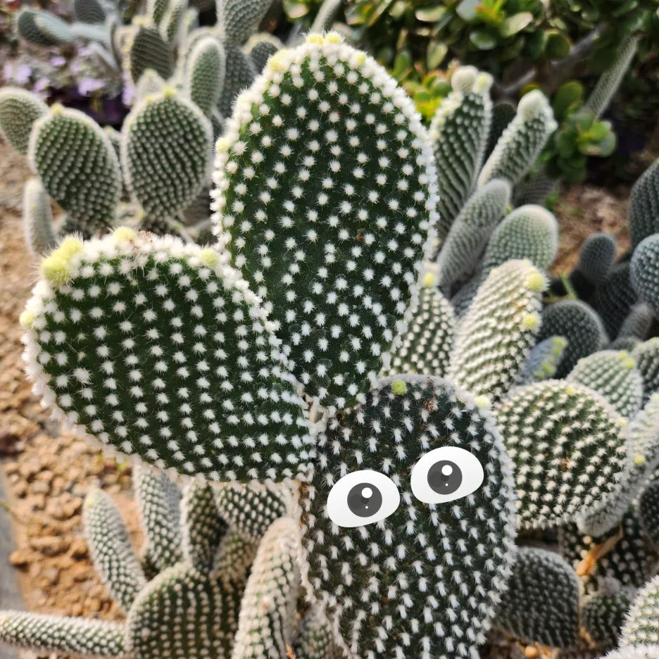 SE-5d36413f-e474-11ee-8fc2-ddc2f7df492a.jpg?type=w1