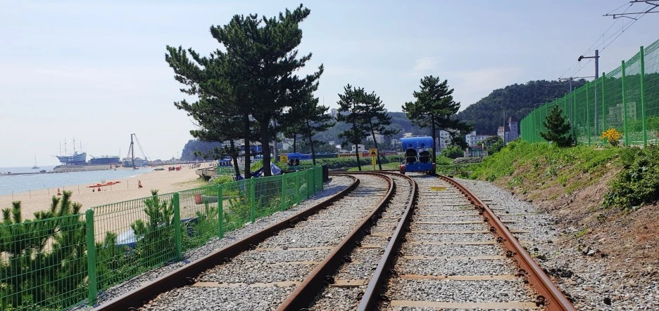 SE-4a27f62f-3b4c-11ee-aa73-d73cfc461a91.jpg?type=w1