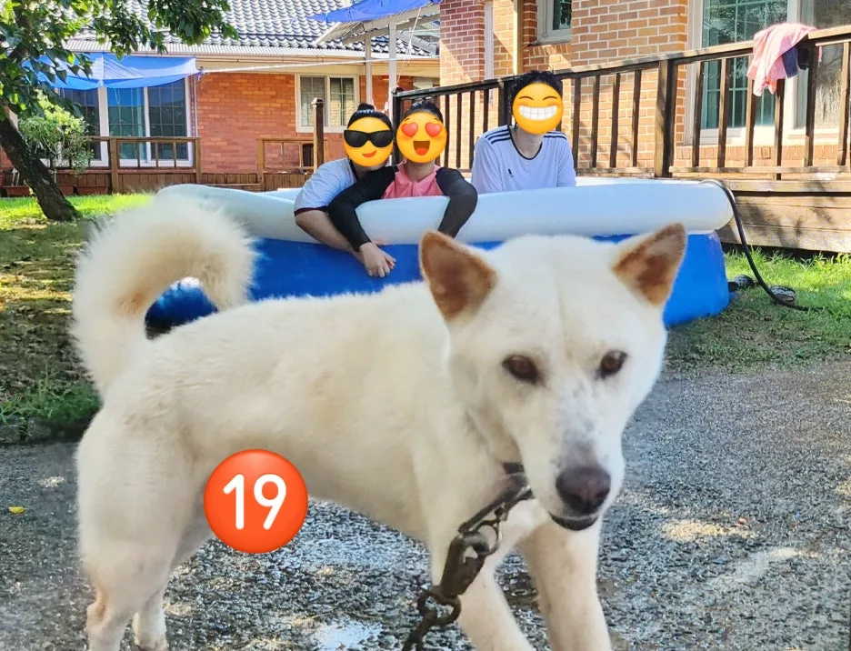 SE-de3120f7-5fc7-46c9-8a18-d0e3d8c047e6.jpg?type=w1