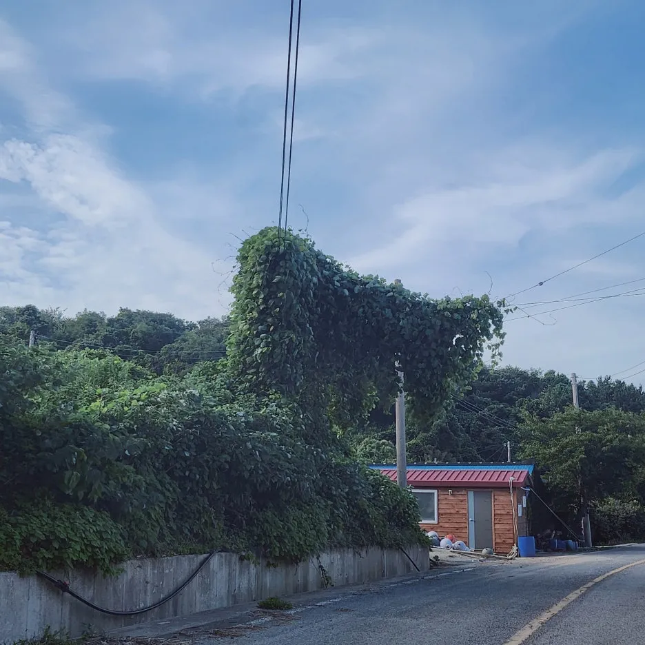 SE-b2b9ac63-65a0-11ef-b3d5-67014edae94d.jpg?type=w1