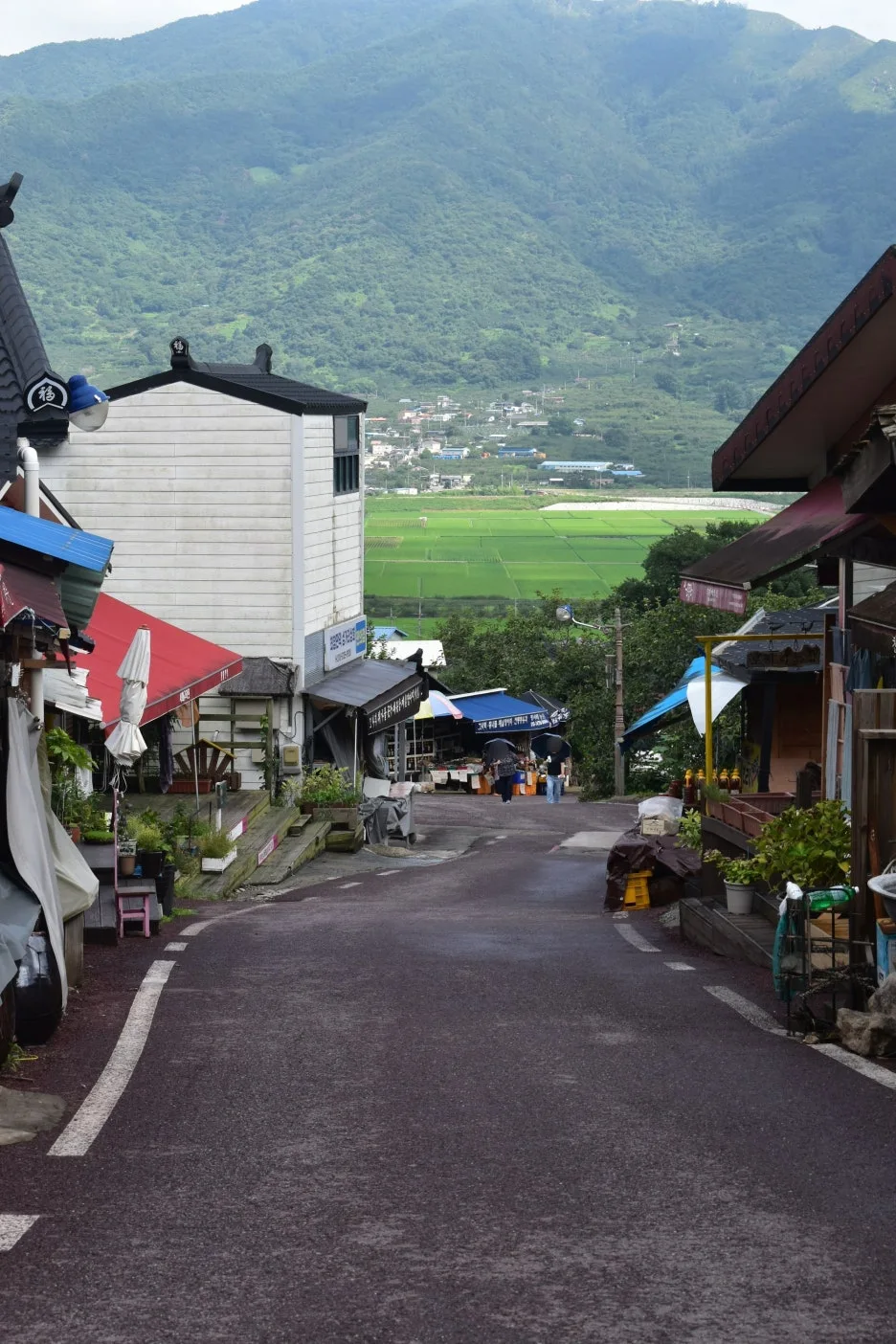 SE-2784f354-4323-4d1f-954d-78f10770c079.jpg?type=w1