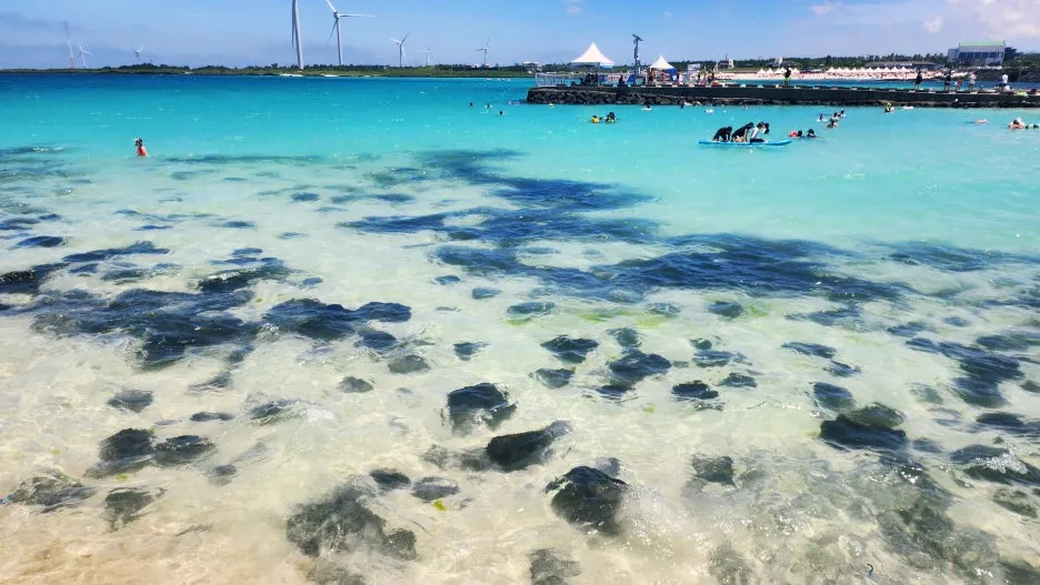 SE-90cf7060-9122-4090-a4fb-fb8c62912d99.jpg?type=w1