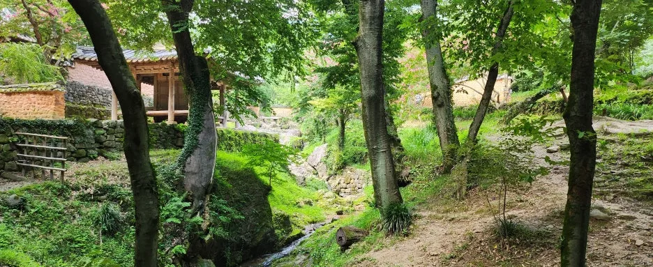 20240802%EF%BC%BF154652.jpg?type=w1