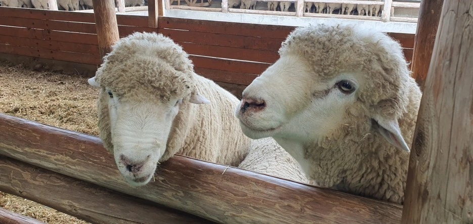 20230801%EF%BC%BF122831.jpg?type=w1