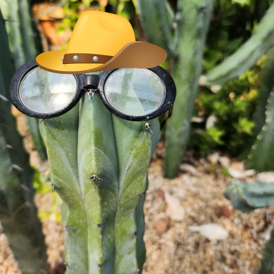 SE-5d2a816b-e474-11ee-8fc2-dbafa10e4b5f.jpg?type=w1