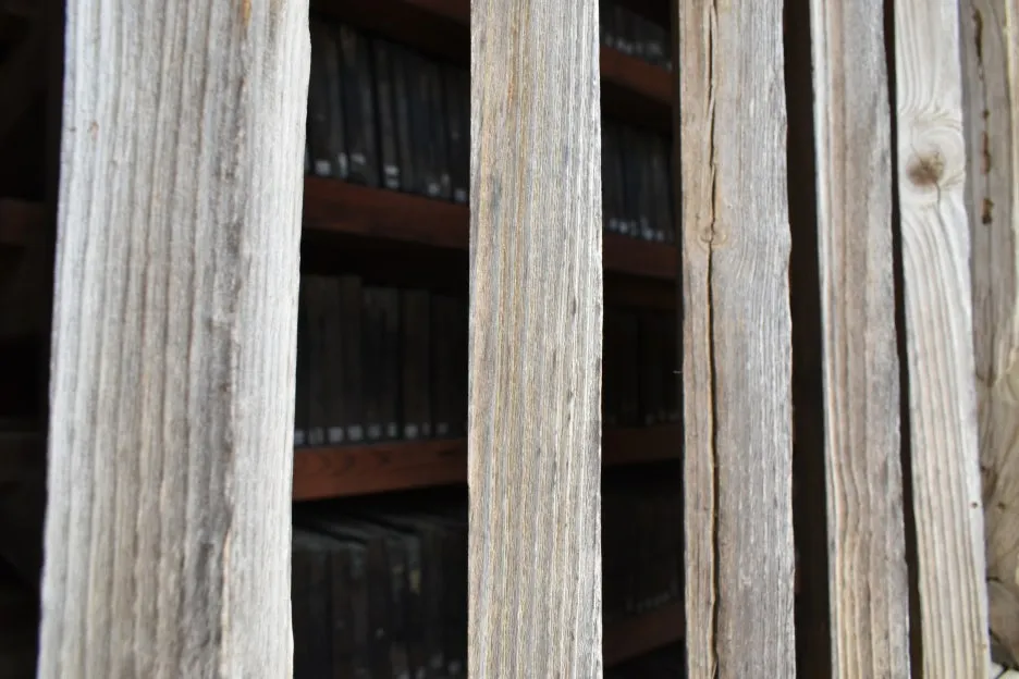 DSC_0773.JPG?type=w1