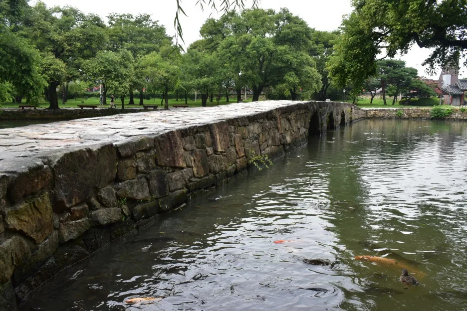 DSC_0802.JPG?type=w1