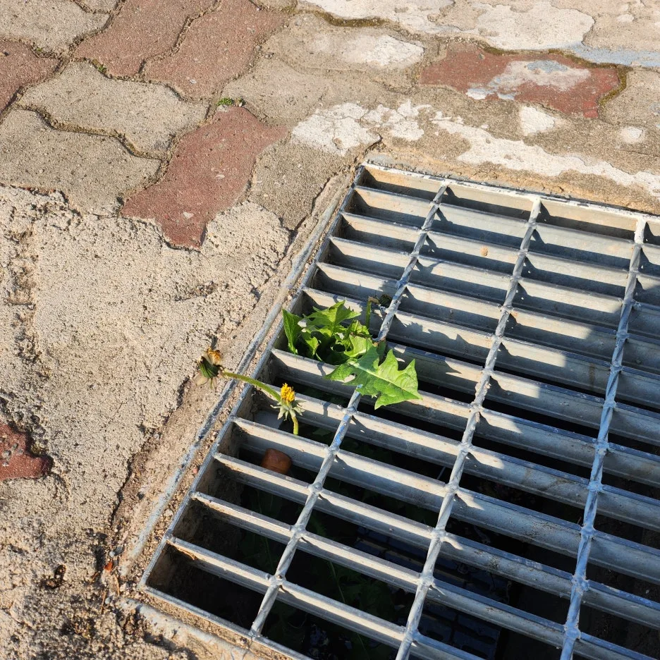 20250411%EF%BC%BF081619.jpg?type=w1