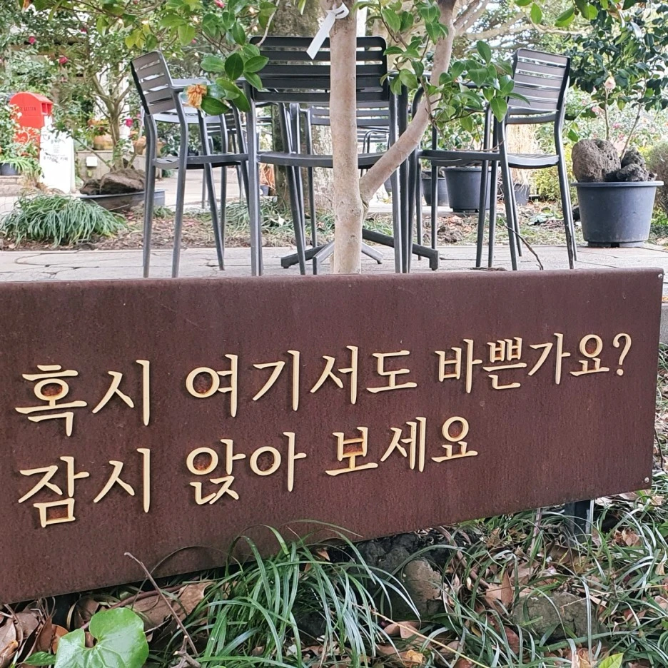 SE-4f888028-e26b-4787-9840-3be8e7c08b8b.jpg?type=w1