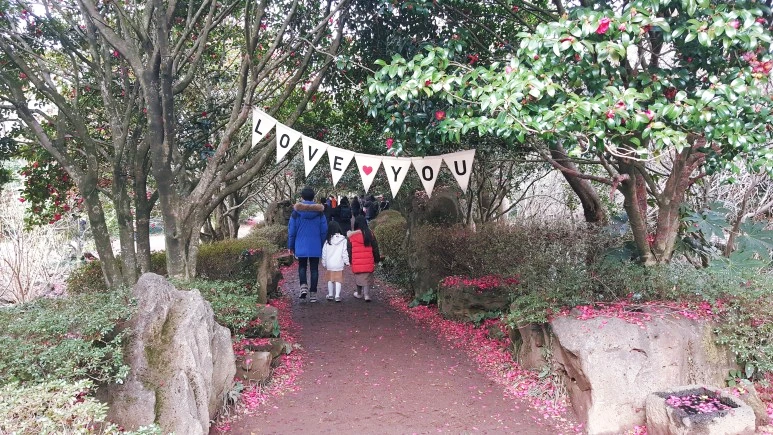 SE-c997f165-5b65-4bec-8e17-39ae6d55d4e9.jpg?type=w1