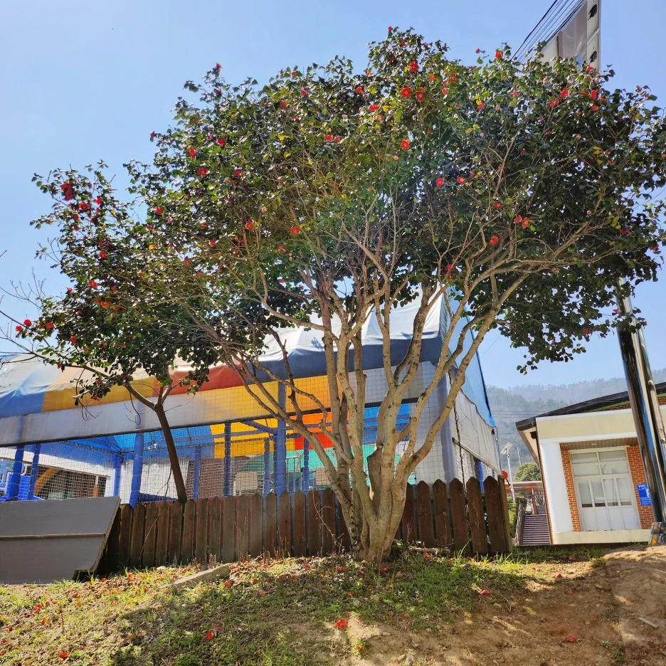 SE-e343a33b-5c84-42c3-84bd-a6af1d150855.jpg?type=w1