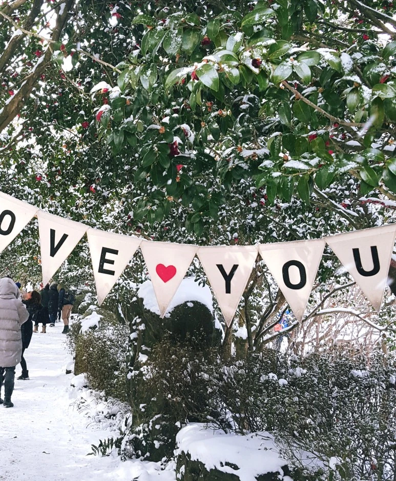 SE-dc4ce07f-9d22-4f34-8974-c59d63742c75.jpg?type=w1