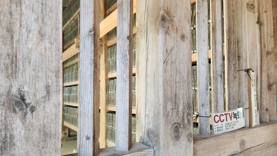 20250814%EF%BC%BF164757.jpg?type=w1