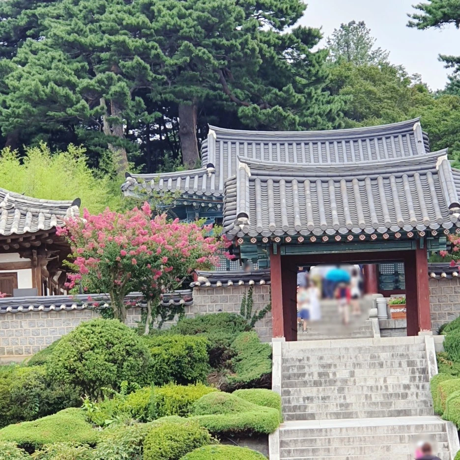 SE-3817b5cd-e1b3-4848-ab1c-8ee2db004859.jpg?type=w1