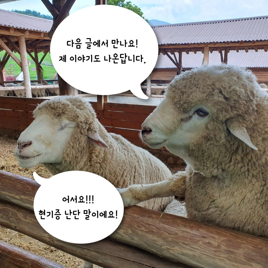 %EB%B8%94%EB%A1%9C%EA%B7%B8-%ED%8F%AC%EC%8A%A4%ED%8C%85%EC%9A%A9_%EC%9D%B4%EB%AF%B8%EC%A7%80-001.jpg?type=w1