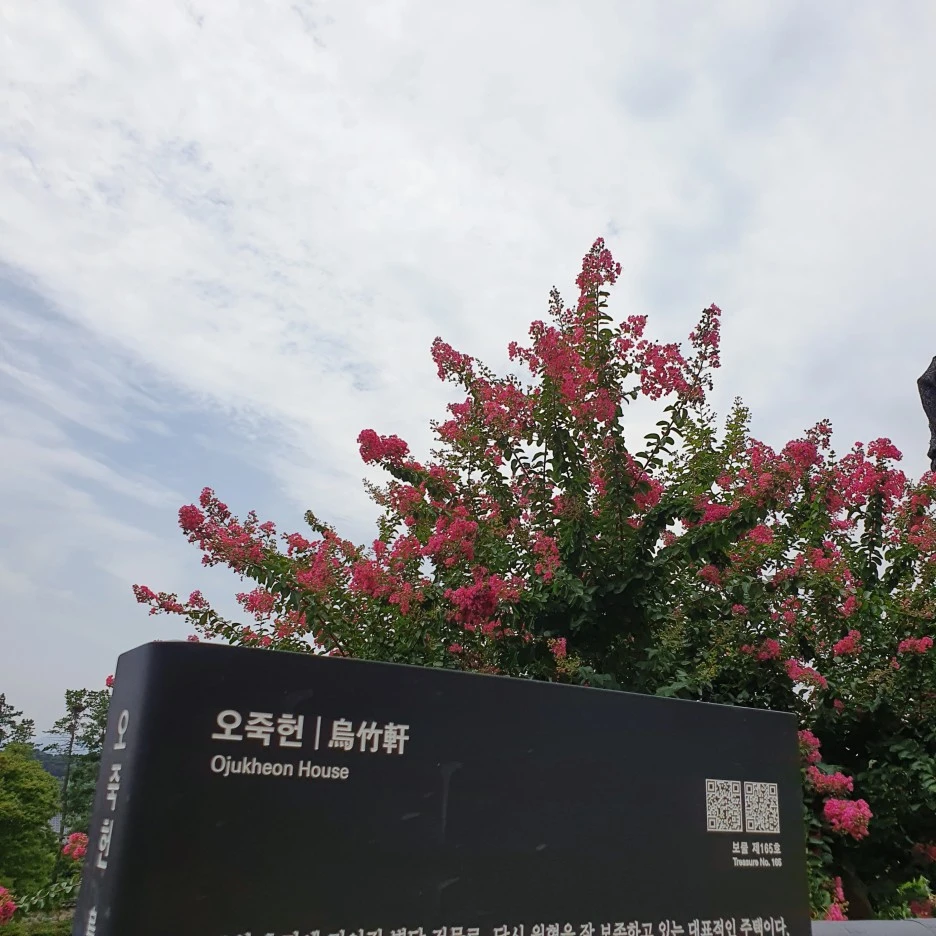 SE-01f8f05e-3a45-11ee-87b8-c7dc5fbb589f.jpg?type=w1