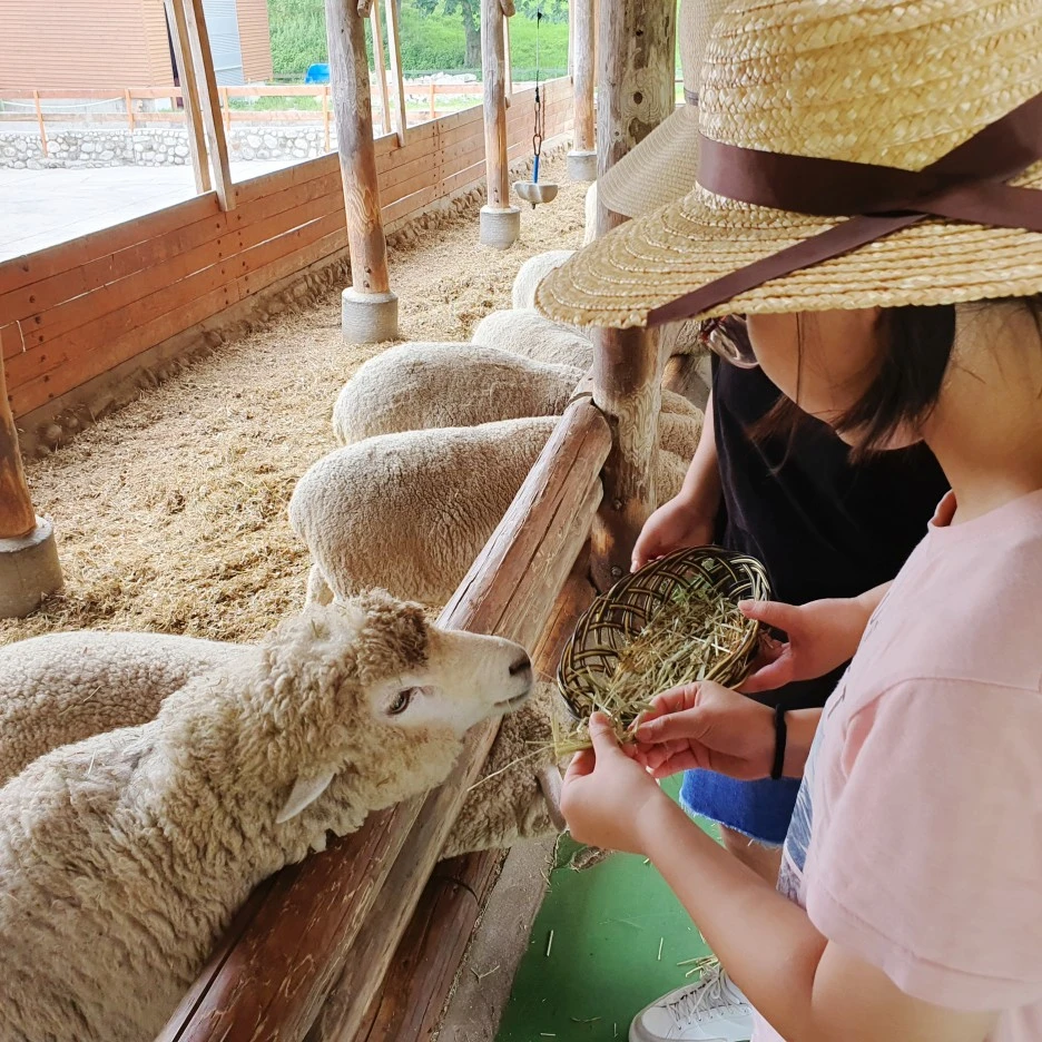 SE-4e18beb5-e39c-4415-b6fd-1a610b64c147.jpg?type=w1