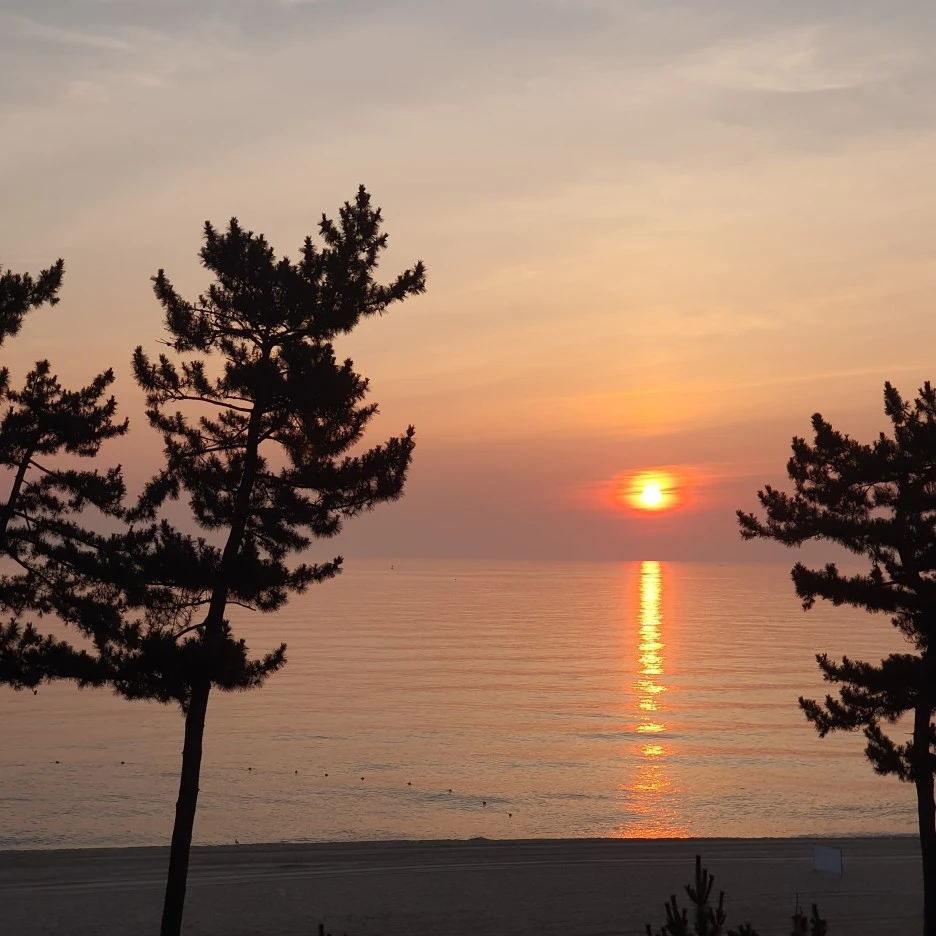 20230801%EF%BC%BF054029.jpg?type=w1