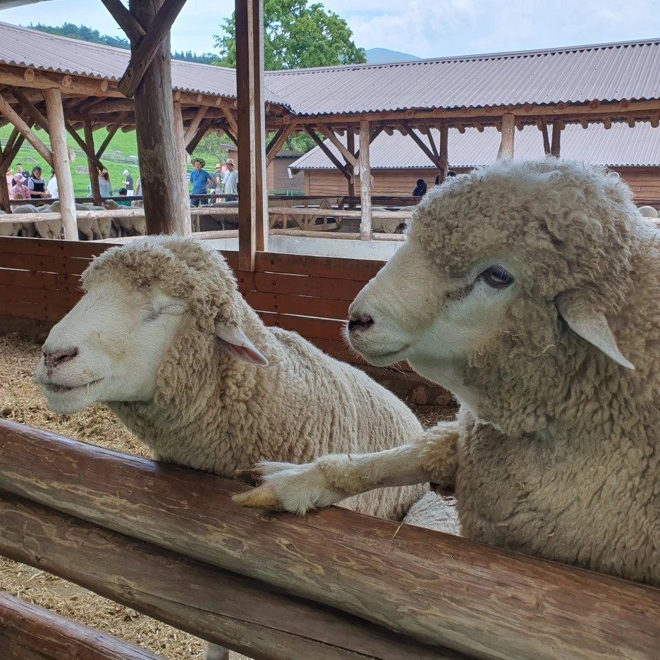 20230801%EF%BC%BF122837.jpg?type=w1