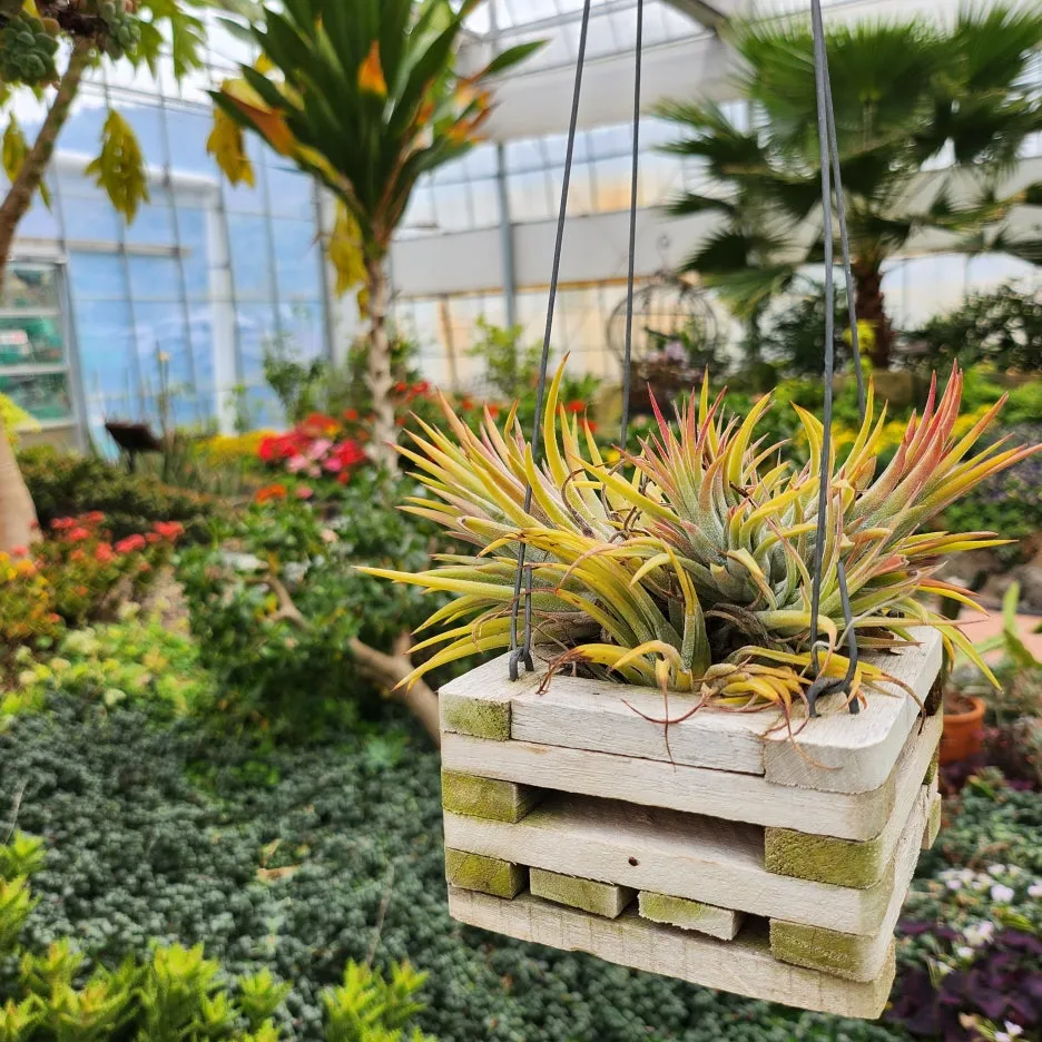 20240317%EF%BC%BF143245.jpg?type=w1