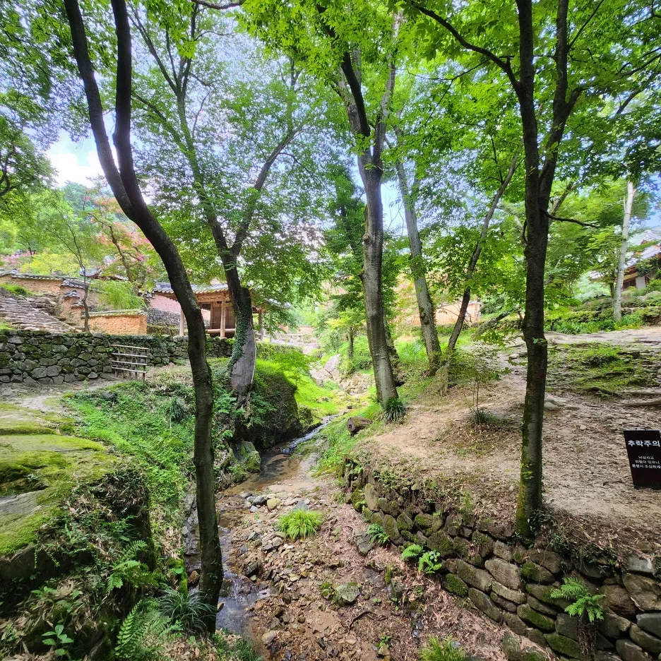 20240802%EF%BC%BF154704.jpg?type=w1