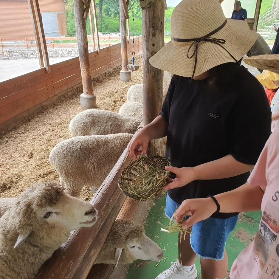 20230801%EF%BC%BF123007.jpg?type=w1