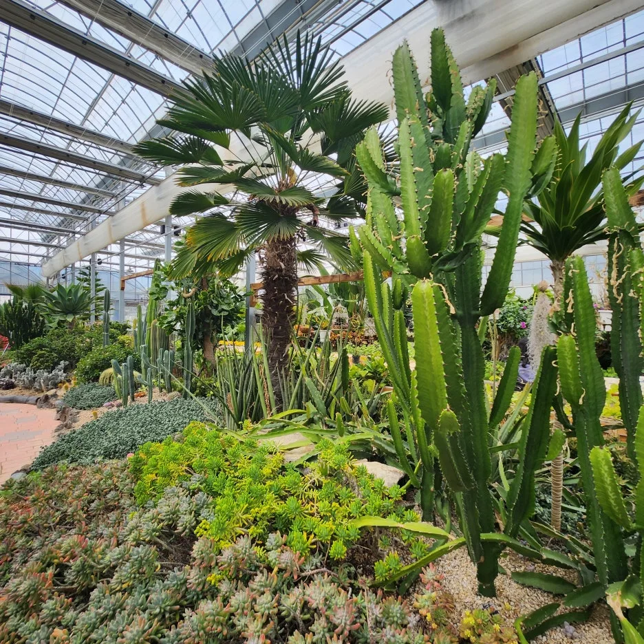 20240317%EF%BC%BF143130.jpg?type=w1