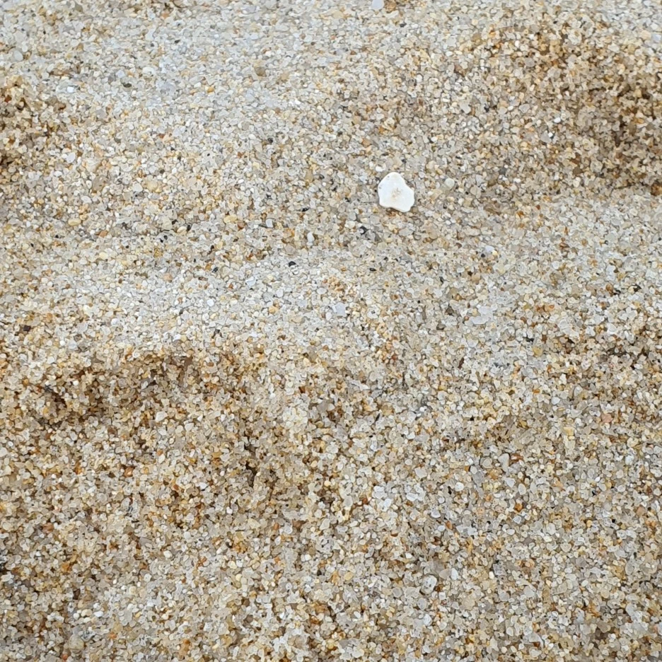 20230731%EF%BC%BF173331.jpg?type=w1