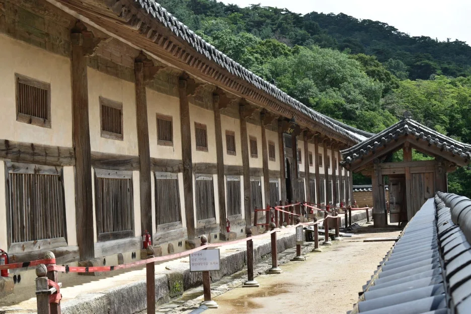 DSC_0776.JPG?type=w1