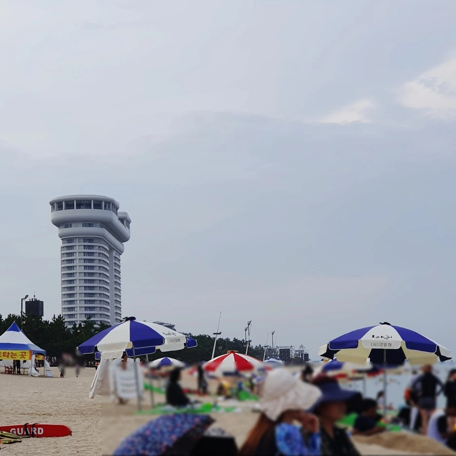 SE-af8ef006-282f-4bd8-a66e-9639e5e633f8.jpg?type=w1