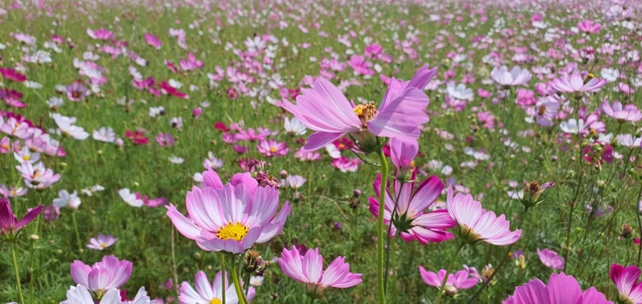 20230929%EF%BC%BF131710.jpg?type=w1