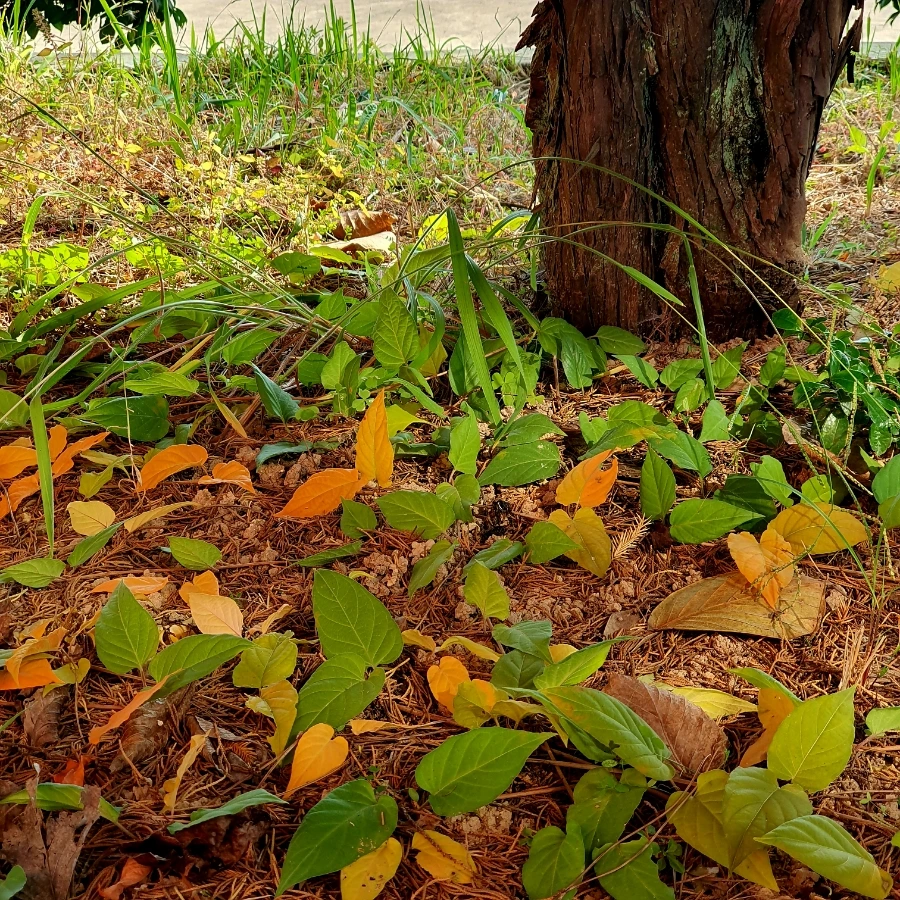 20231025%EF%BC%BF124211.jpg?type=w1