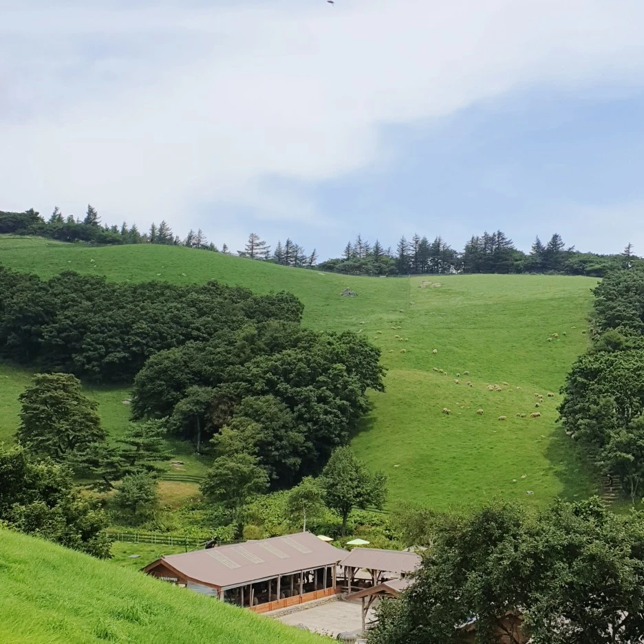 SE-4a297bd1-3b4c-11ee-aa73-db80799225c3.jpg?type=w1